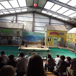 Sealion exhibit at Knowsley Safari Park 08/09/12