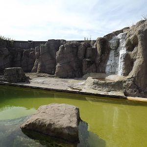 Sealion exhibit at Knowsley Safari Park 08/09/12