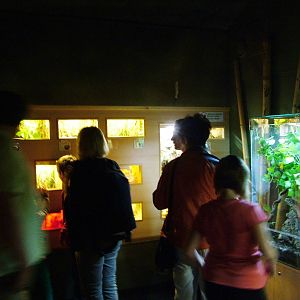 Invertebrate House Interior at Dvur Kralove, 27/08/12