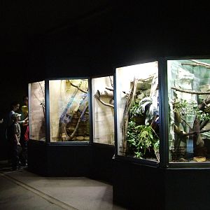 Terraria at Dvur Kralove, 27/08/12