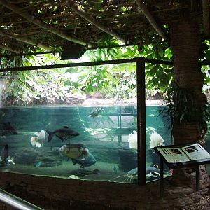 Aqua-Terrarium at Dvur Kralove, 27/08/12