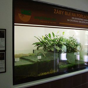 Amphibian Ark Display at Dvur Kralove, 27/08/12