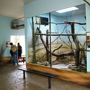 Elephant House Interior at Dvur Kralove, 27/08/12