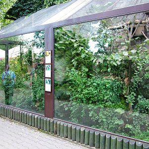 Callitrichid Enclosures at Dvur Kralove, 27/08/12