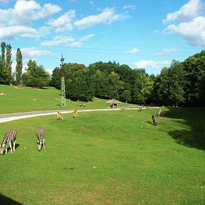 Safari Bus Tour at Dvur Kralove, 27/08/12