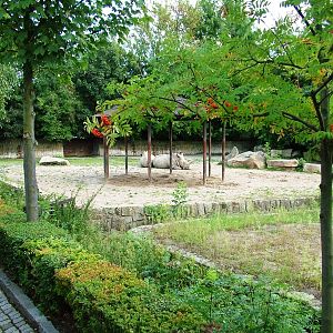 Safari Bus Tour at Dvur Kralove, 27/08/12