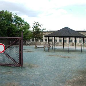 Safari Bus Tour at Dvur Kralove, 27/08/12