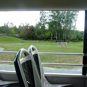 Safari Bus Tour at Dvur Kralove, 27/08/12