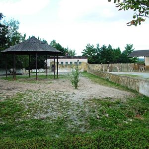 Safari Bus Tour at Dvur Kralove, 27/08/12