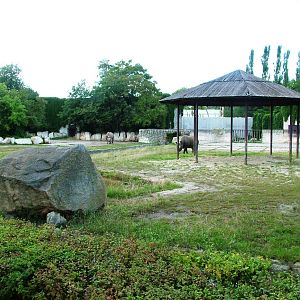 Safari Bus Tour at Dvur Kralove, 27/08/12