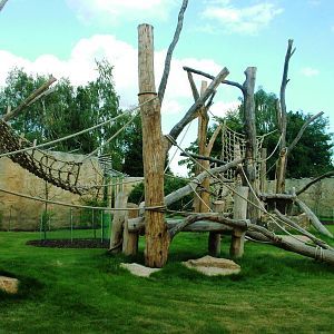 Chimpanzee Enclosure at Dvur Kralove, 27/08/12