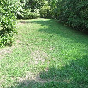 African Wild Dog Exhibit