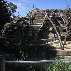 Sep. 2012-Black-and-white Ruffed/Ring-tailed Lemur exhibit