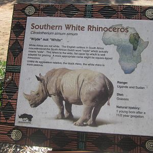 Sep. 2012-Rhinoceros sign