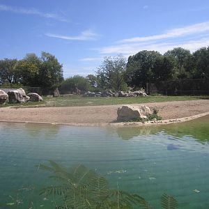 Sep. 2012-Ruppell's Griffon Vulture/Masai Giraffe exhibit