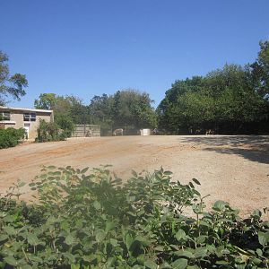 Sep. 2012-Hartmann's Mountain Zebra exhibit