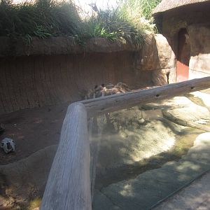 Sep. 2012-Meerkat exhibit