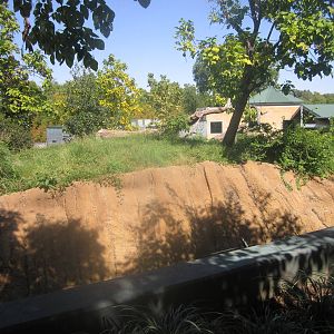 Sep. 2012-Western Lowland Gorilla exhibit