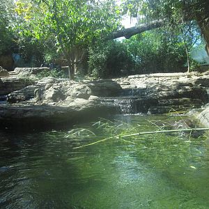 Sep. 2012-Hippo Falls