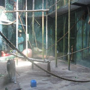Sep. 2012-Patas Monkey exhibit