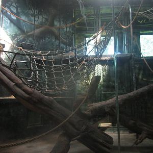 Sep. 2012-1 of 2 Indoor Gorilla exhibit