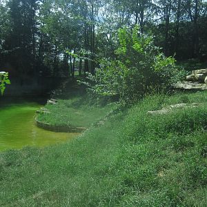 Sep. 2012-Tiger Tundra