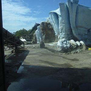 Sep. 2012-Rotating Bear exhibit