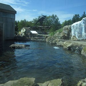 Sep. 2012-Rotating Bear exhibit