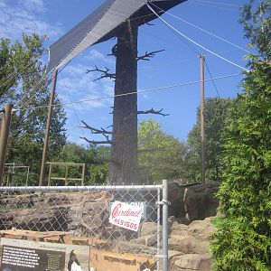 Sep. 2012-Steller's Sea Eagle aviary progress