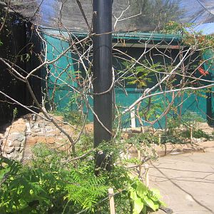 Sep. 2012-Lorikeet Landing