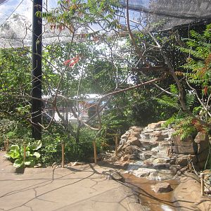 Sep. 2012-Lorikeet Landing