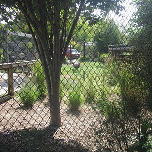 Sep. 2012-Emu exhibit