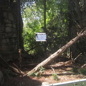 Sep. 2012-Ocelot exhibit