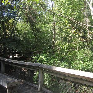 Sep. 2012-Bald Eagle exhibit