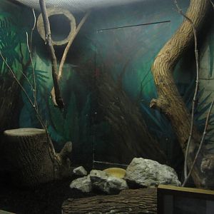 Sep. 2012-Eastern Screech Owl exhibit