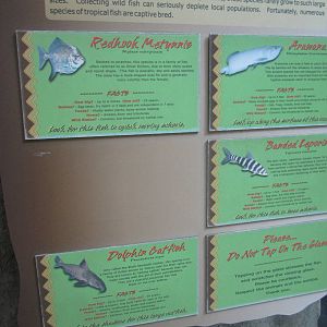 Sep. 2012-Amazon River fish signs