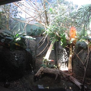 Sep. 2012-World of Birds exhibit