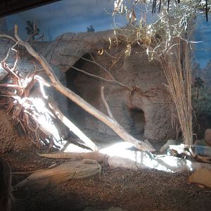 Sep. 2012-Indoor Komodo Dragon exhibit