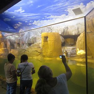 Sep. 2012-Penguin Coast