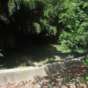 Sep. 2012-Wattled Crane exhibit