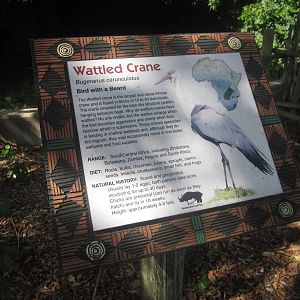 Sep. 2012-Crane sign