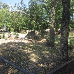 Sep. 2012-East African Crowned Crane/Eastern Bongo exhibit