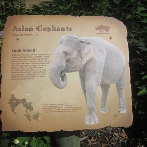Sep. 2012-Elephant sign
