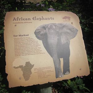 Sep. 2012-Elephant sign