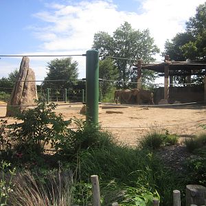 Sep. 2012-African/Asian Elephant exhibit