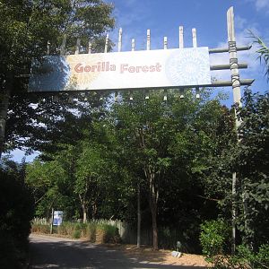 Sep. 2012-Gorilla Forest Entrance