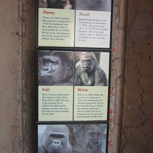 Sep. 2012-Gorilla Identification Signs