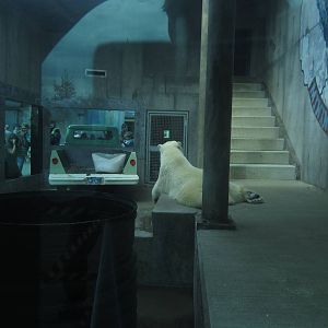 Sep. 2012-Bear Alley-Mining Compound