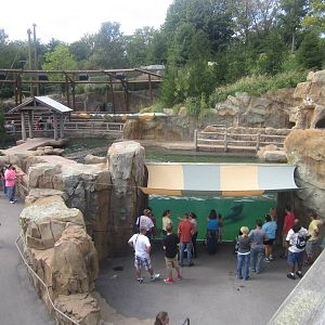 Sep. 2012-California Sea Lion/Harbor Seal exhibit