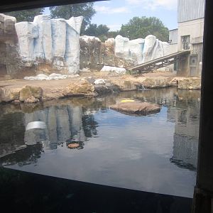 Sep. 2012-Rotating Bear exhibit